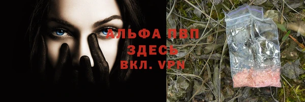 ешки Алексин