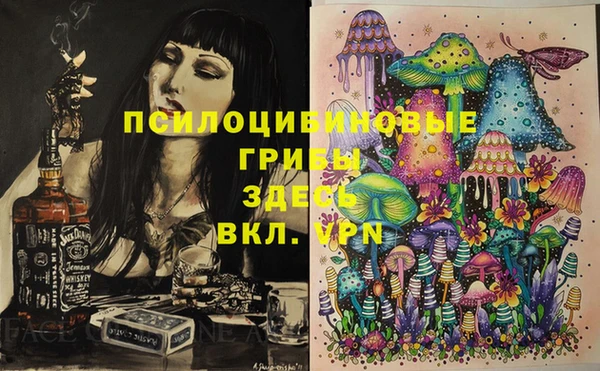 ешки Алзамай