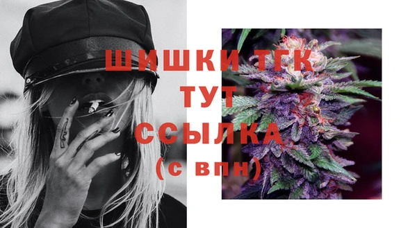 ешки Алексин