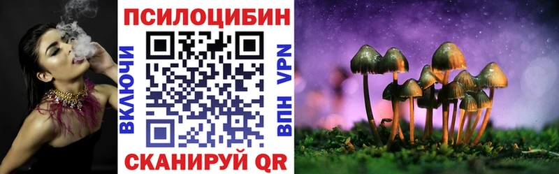 наркошоп  Михайловск  Псилоцибиновые грибы GOLDEN TEACHER 